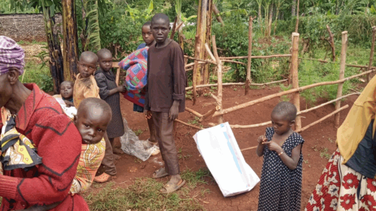 Untitled design (14)